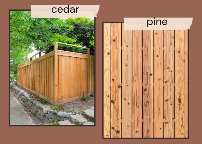 Cedar vs. Pine: Which Is Better for Fences, Decking, and Other Projects?